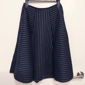 H&M Navy Blue Midi Circle Skirt